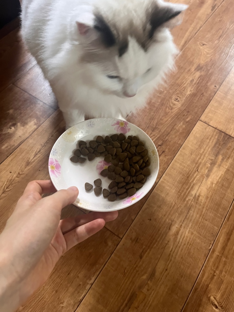 IMG_5352.jpeg