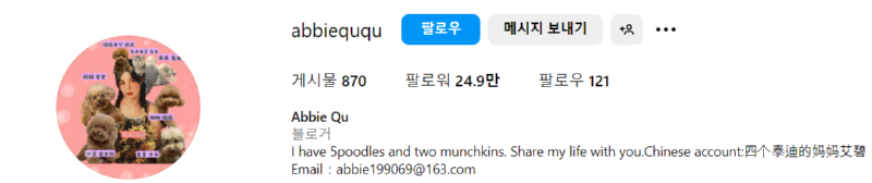 강아지 인플루언서, 일명 개플루언서 모음집!