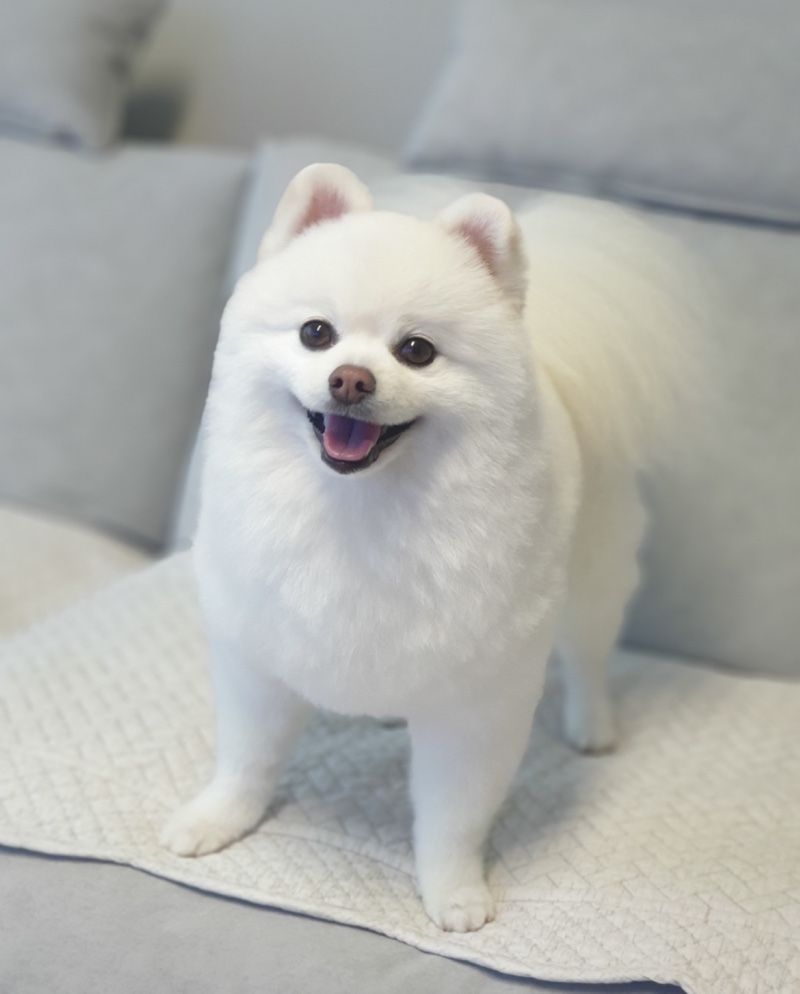 봄이의하루
