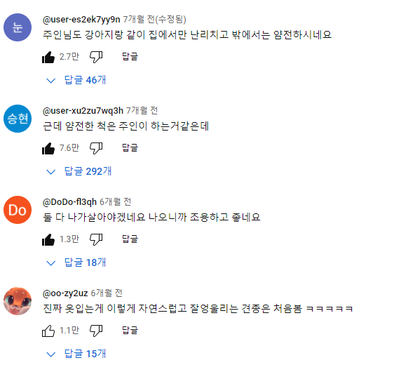 강아지 인플루언서, 일명 개플루언서 모음집!