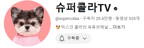 강아지 인플루언서, 일명 개플루언서 모음집!