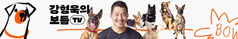 강아지 인플루언서, 일명 개플루언서 모음집!