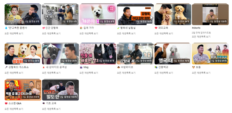 강아지 인플루언서, 일명 개플루언서 모음집!