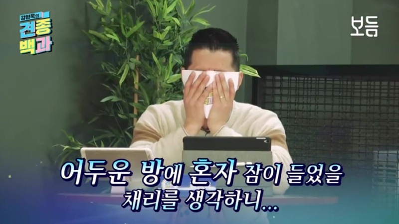 강아지 인플루언서, 일명 개플루언서 모음집!