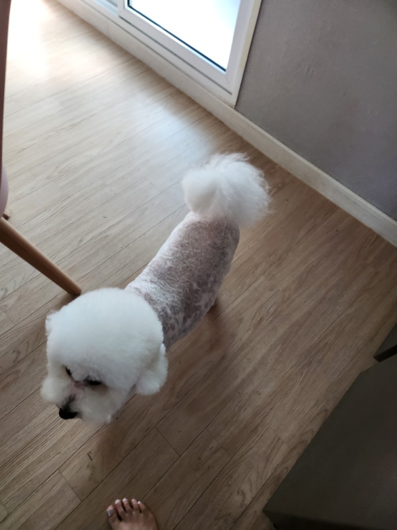 얼룩무늬 울만두❤️