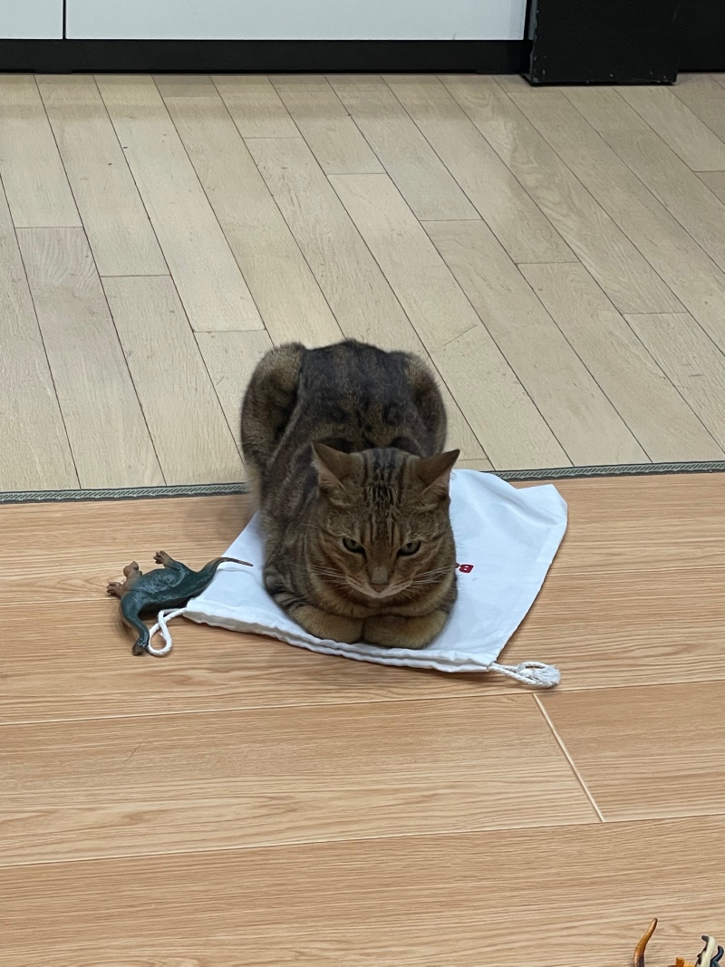 바닥에는 안앉을래 
