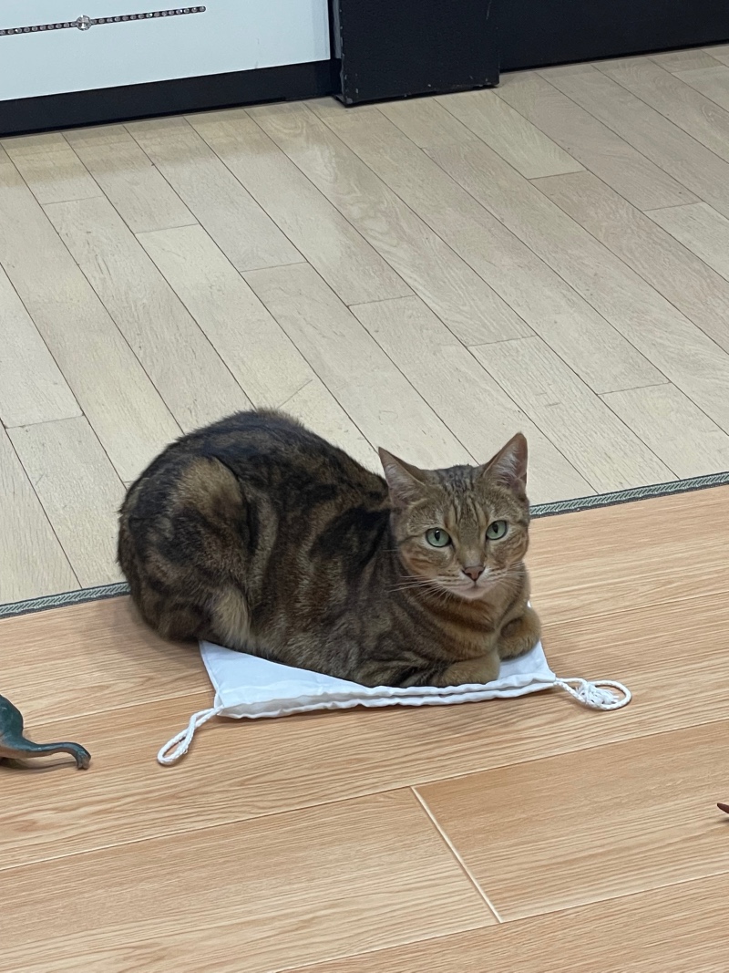 바닥에는 안앉을래 