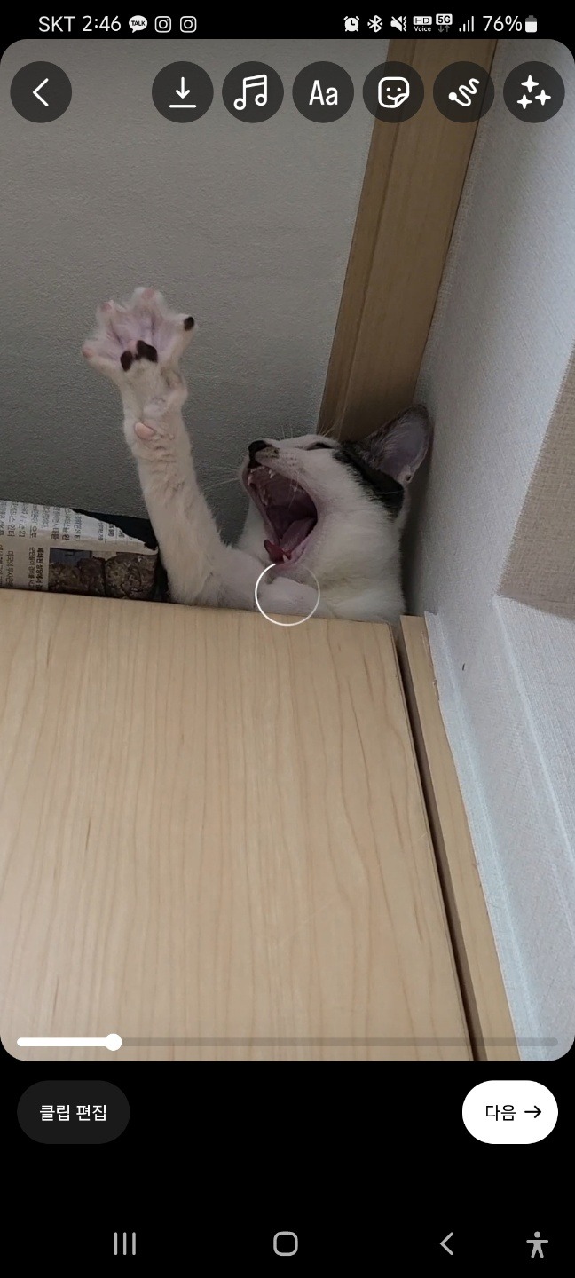 이래봬도 생후 4개월 차 고양이랍니다..!