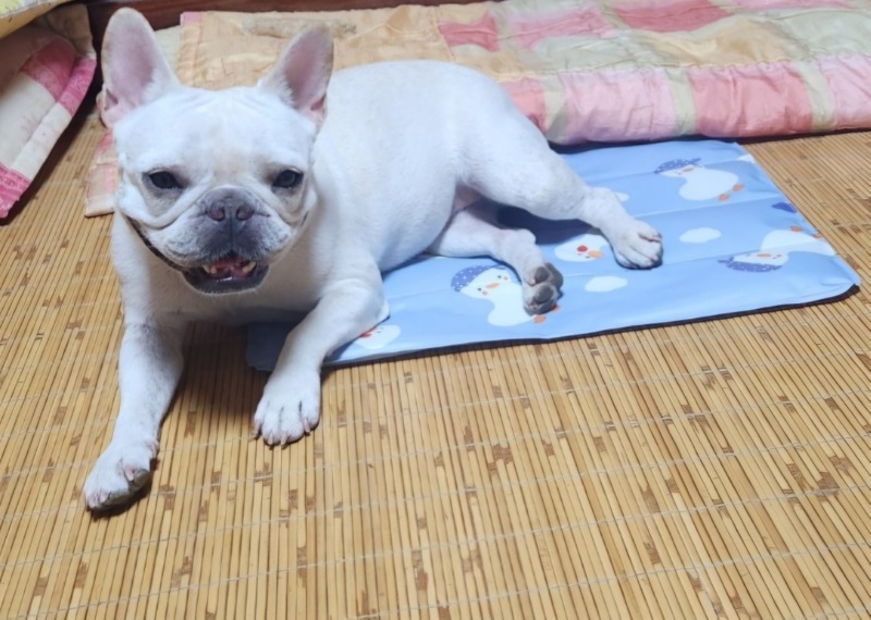 KakaoTalk_20240813_192024636_02.jpg