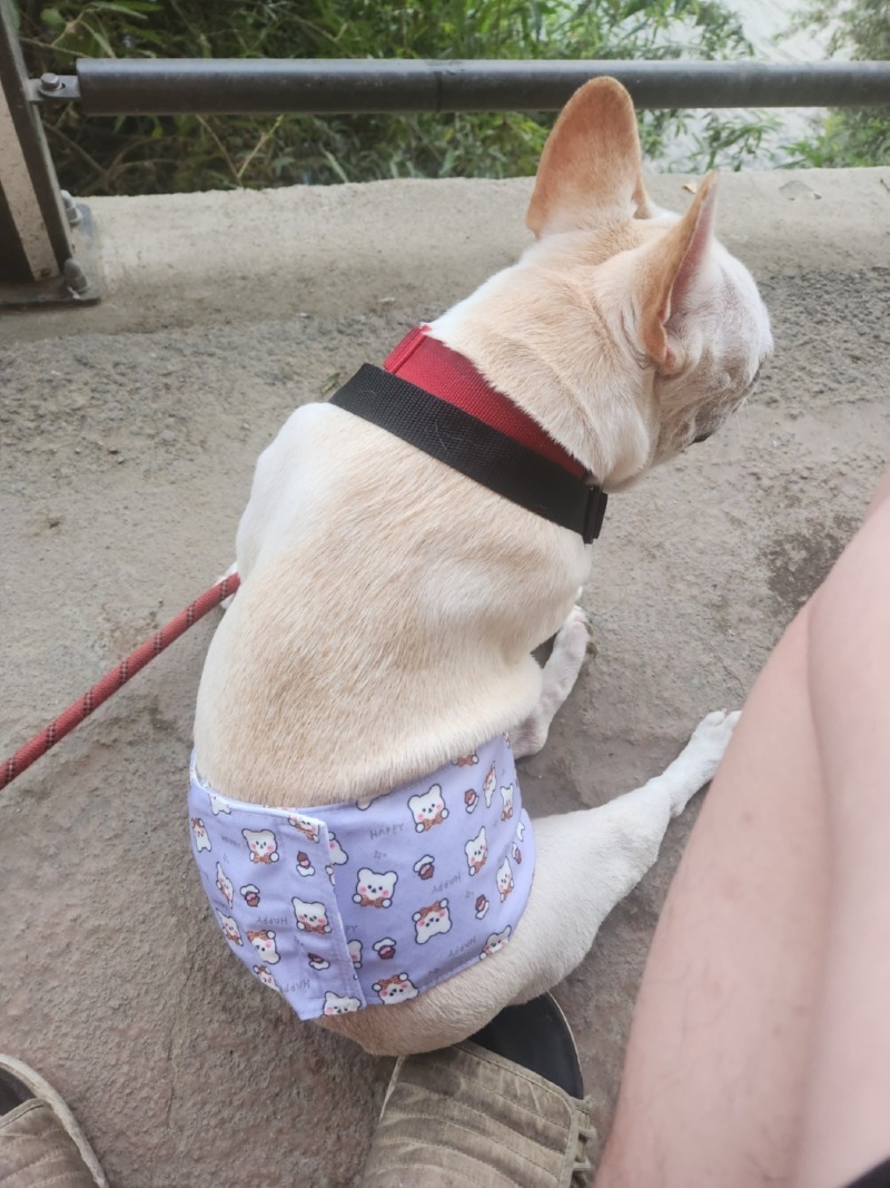 KakaoTalk_20240821_164024131_01.jpg