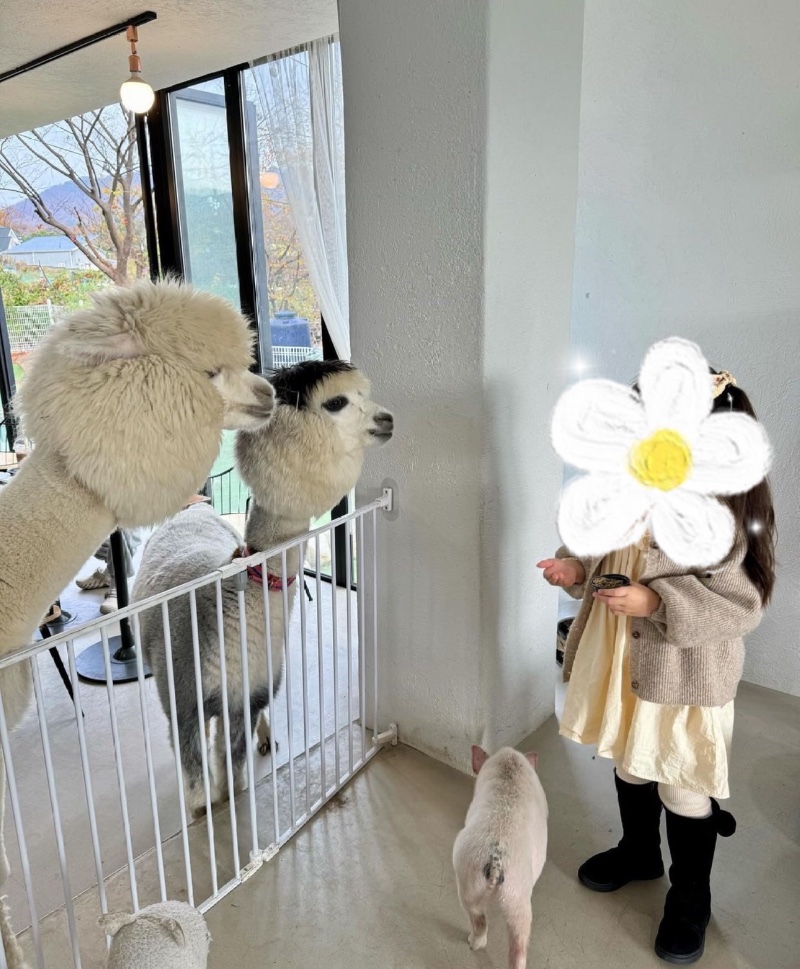 남양주 애견카페 옴뇸뇸
