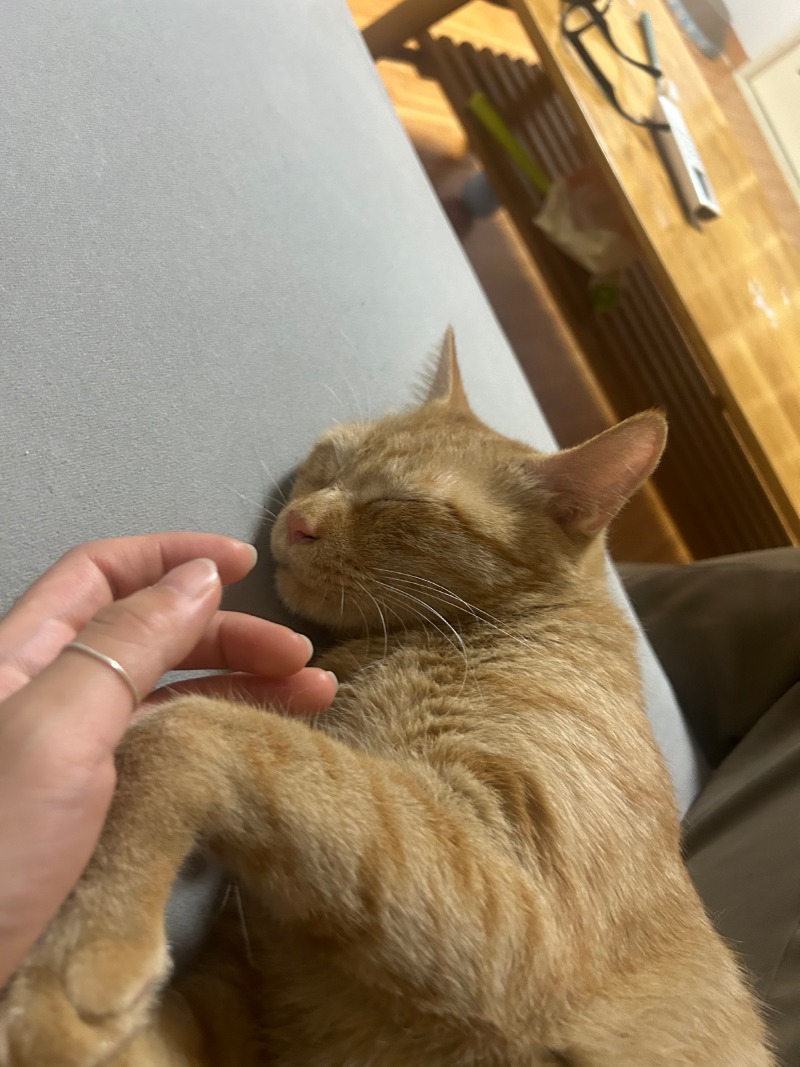 저기 호두씨...팔이...저린데..