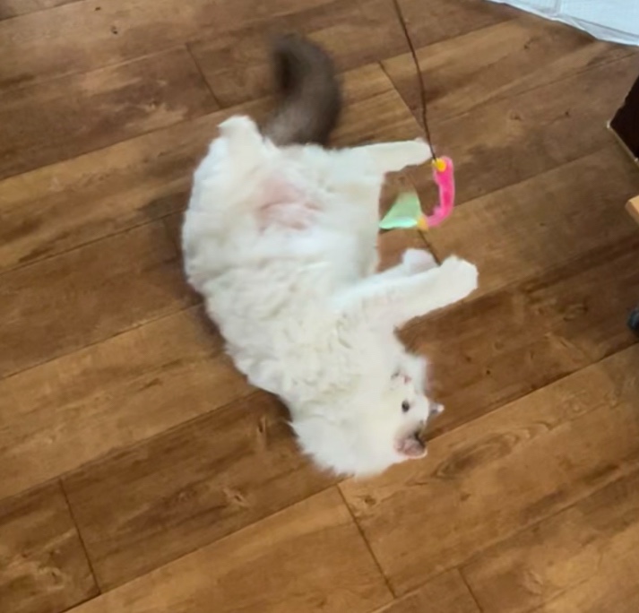 이제는 건강