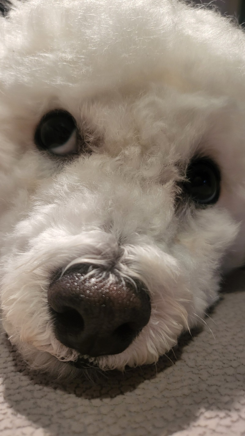 공놀이