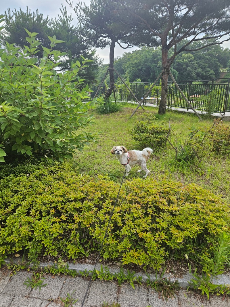 처서매직