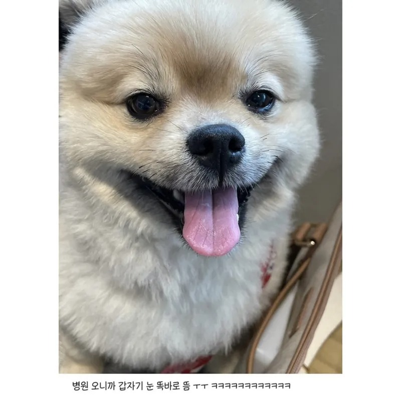 눈 못떠서 병원왔는데 엄살이래 
