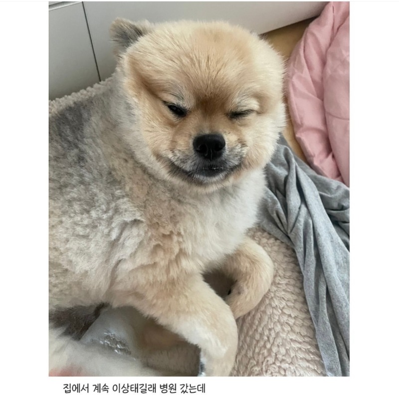 눈 못떠서 병원왔는데 엄살이래 