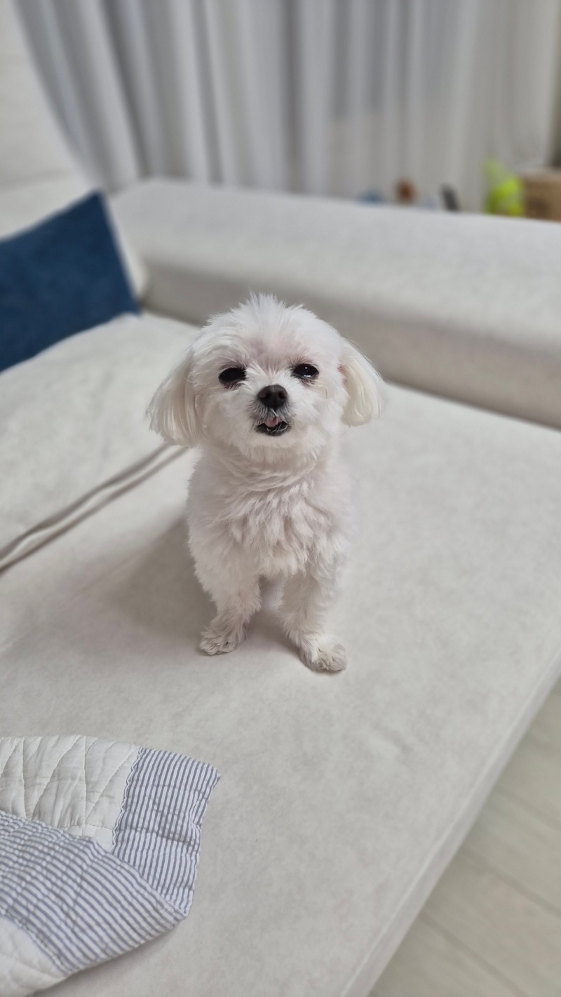 뽀얀단비~!