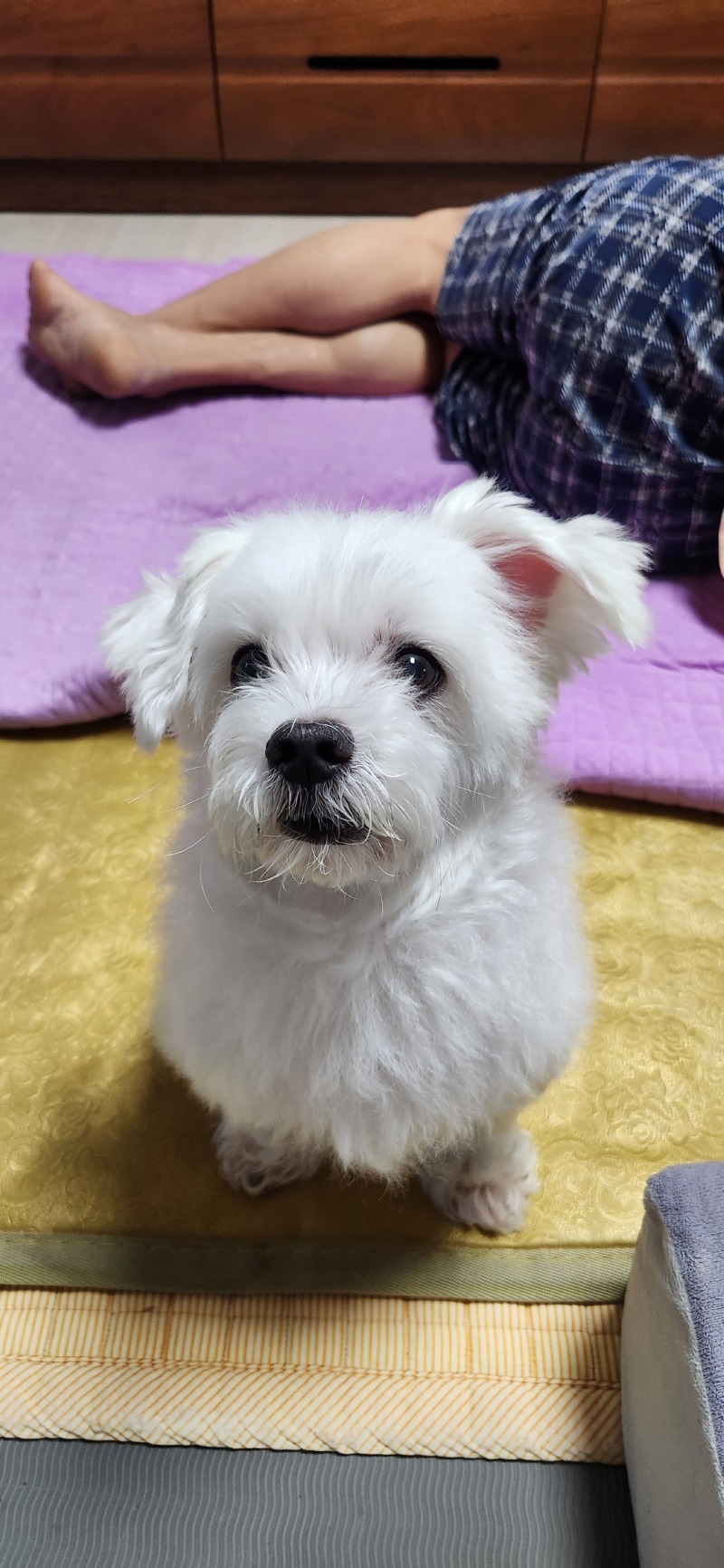 우리 깐돌이 ^^