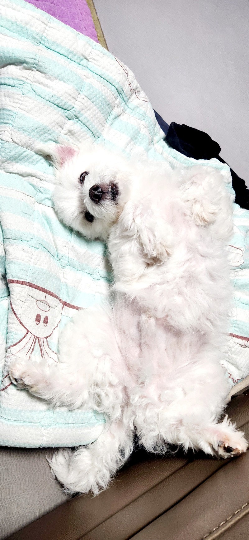 우리 깐돌이 ^^