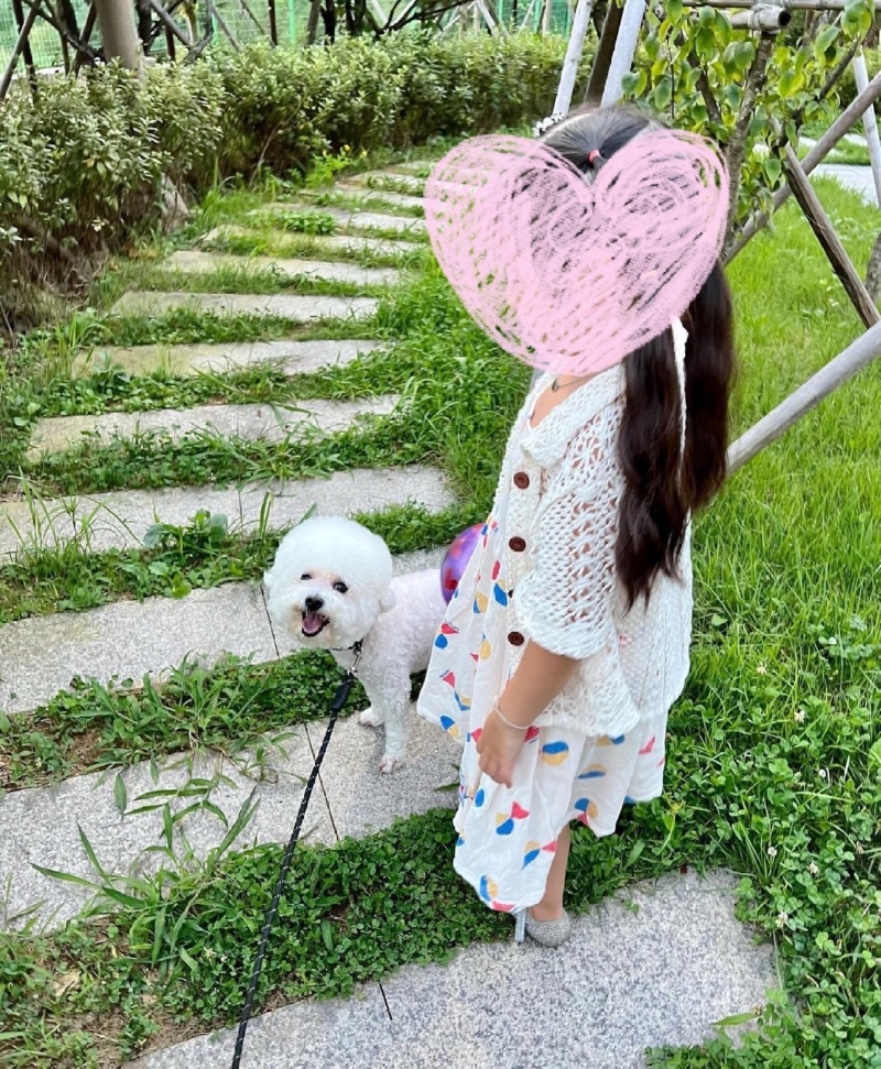 남양주 애견동반 카페 담장
