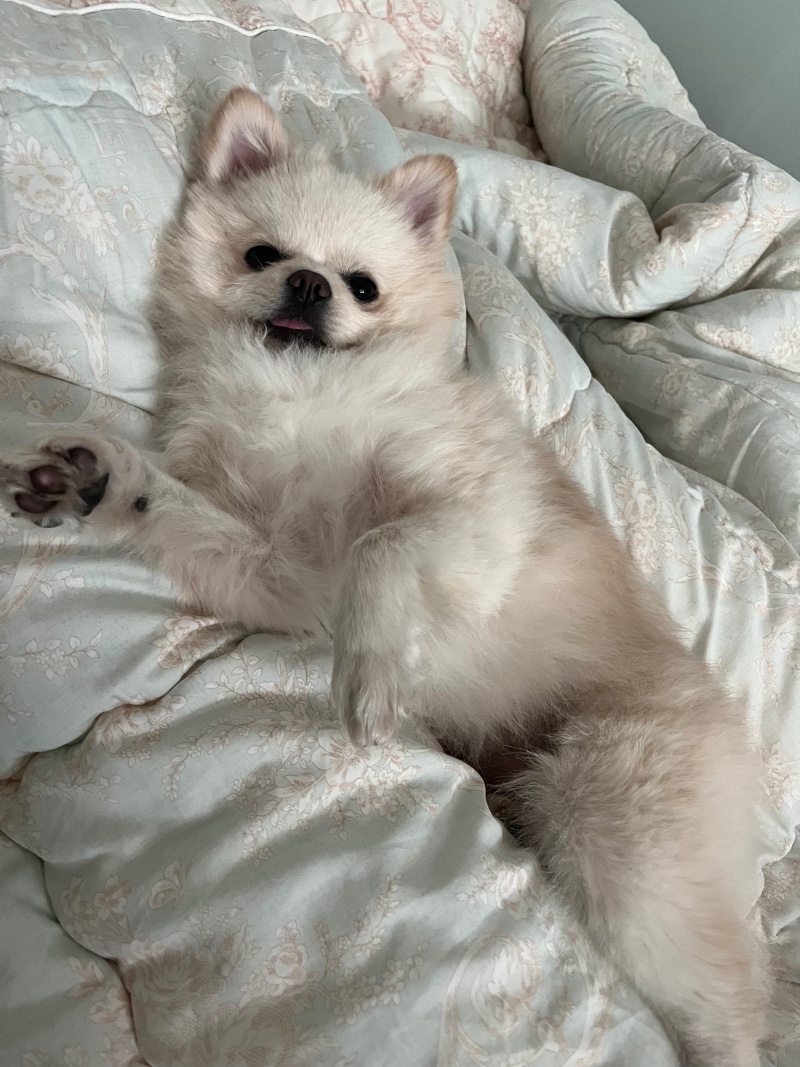 티나