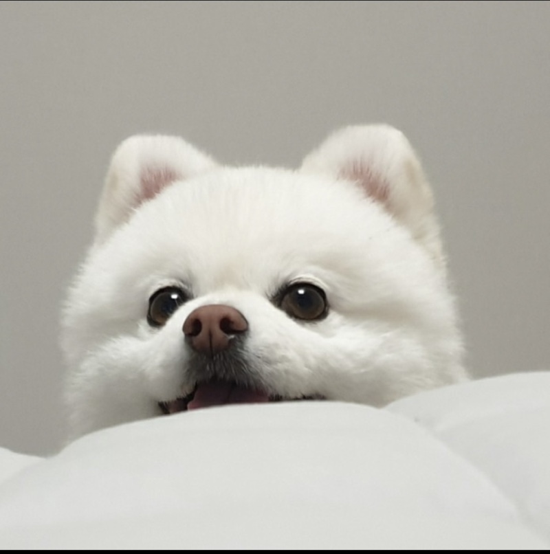 봄