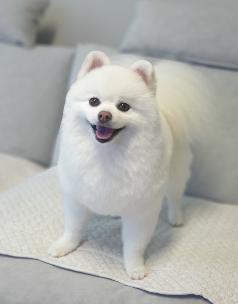 봄