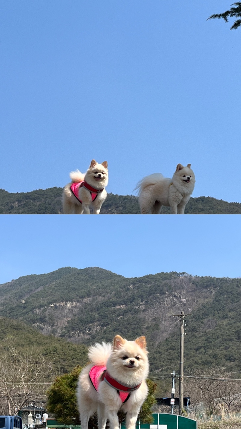 오늘하루