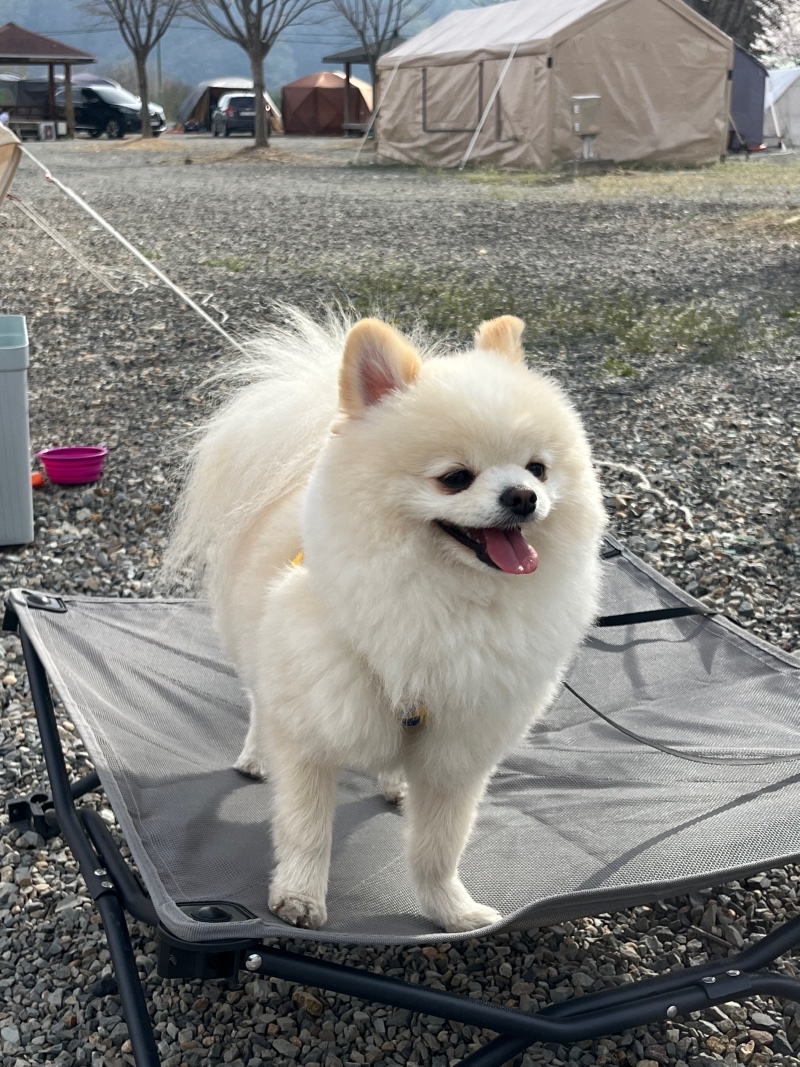 오늘하루