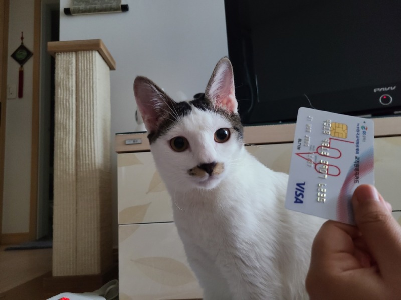 코로나로 힘들어도 늘 곁에 있어주는 삼봉이