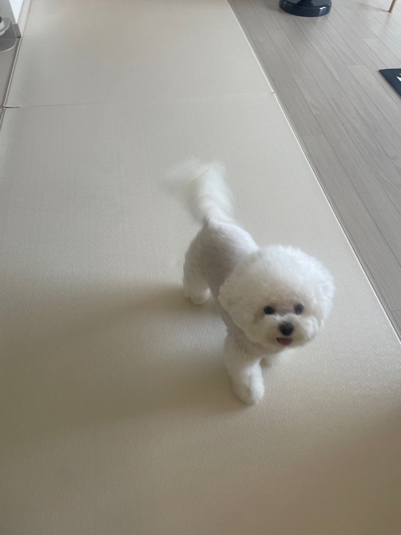 귀엽쥬