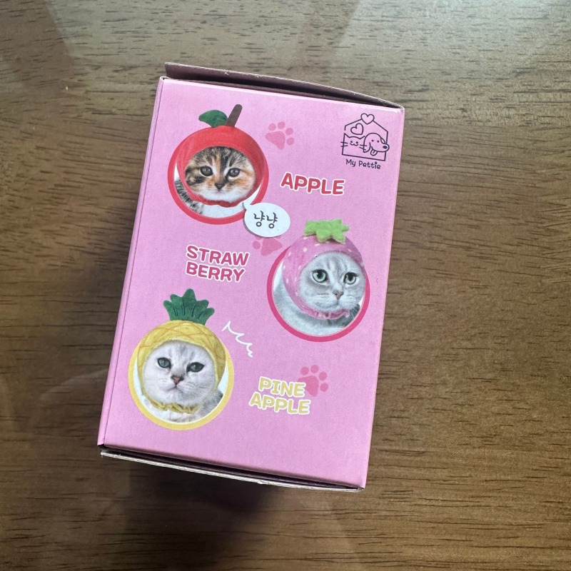 KakaoTalk_20240830_101150187_13.jpg