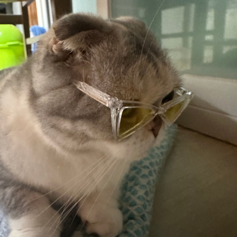 KakaoTalk_20240830_101150187_01.jpg