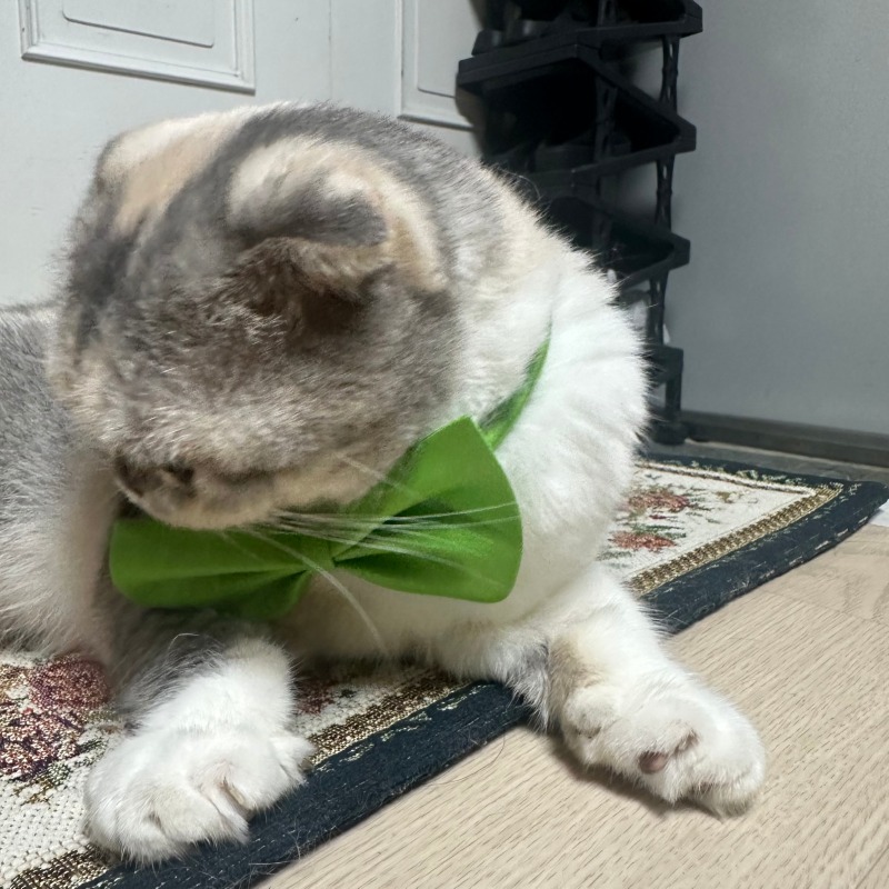 KakaoTalk_20240830_101150187_07.jpg