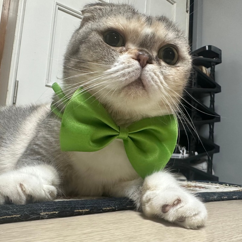 KakaoTalk_20240830_101150187_06.jpg