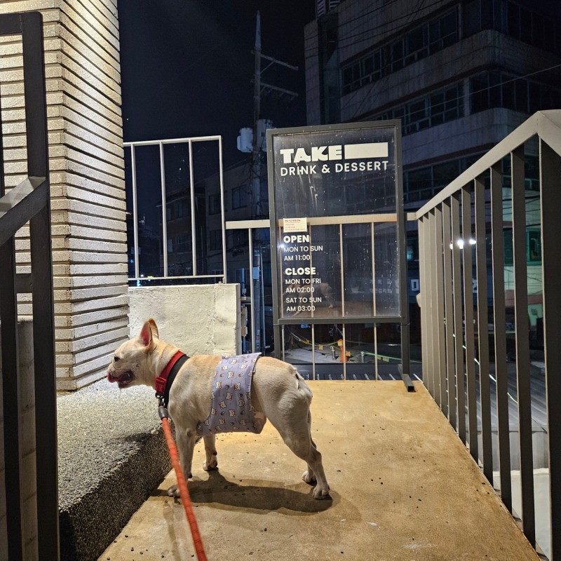 테이크 블랭크 애견동반카페 