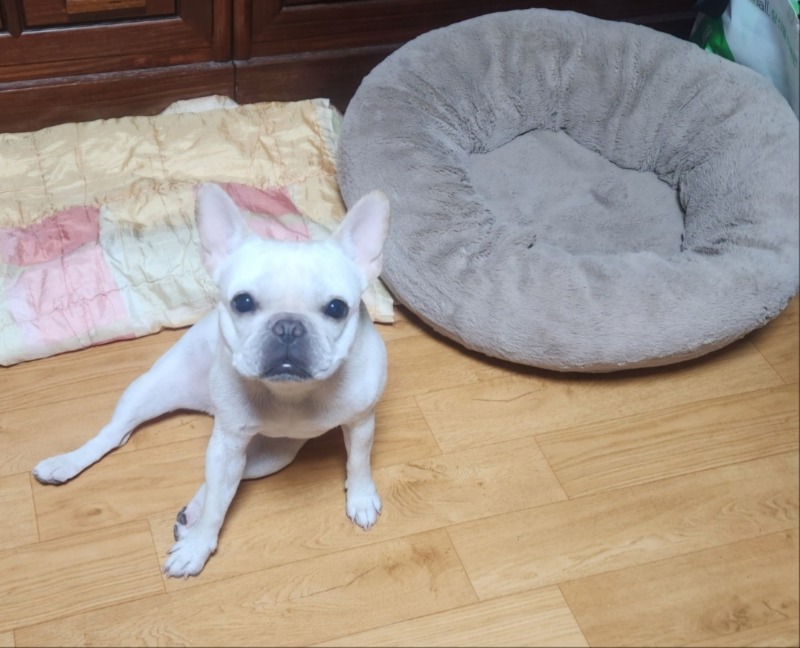 KakaoTalk_20240806_204359475.jpg