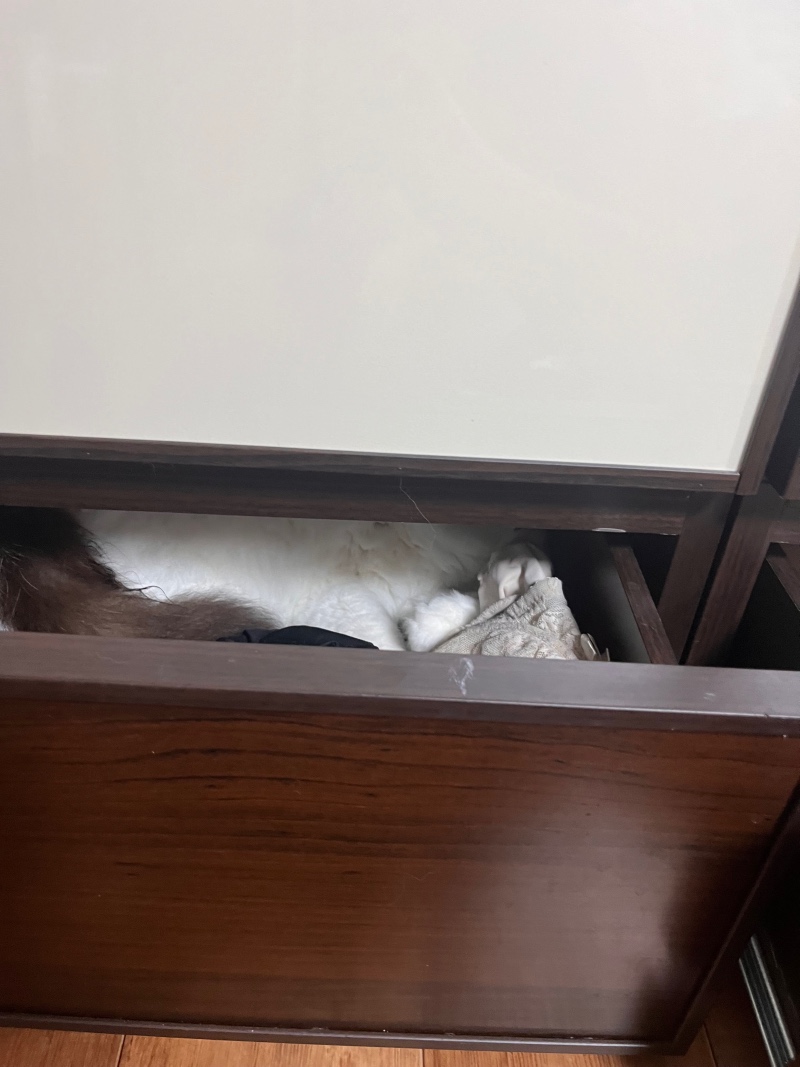 숨바꼭질1