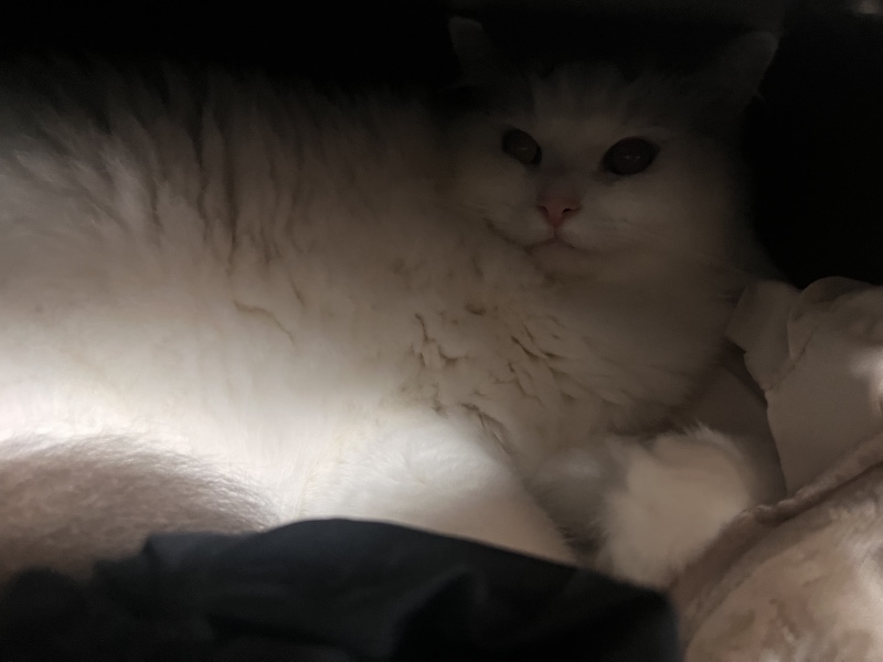 숨바꼭질1