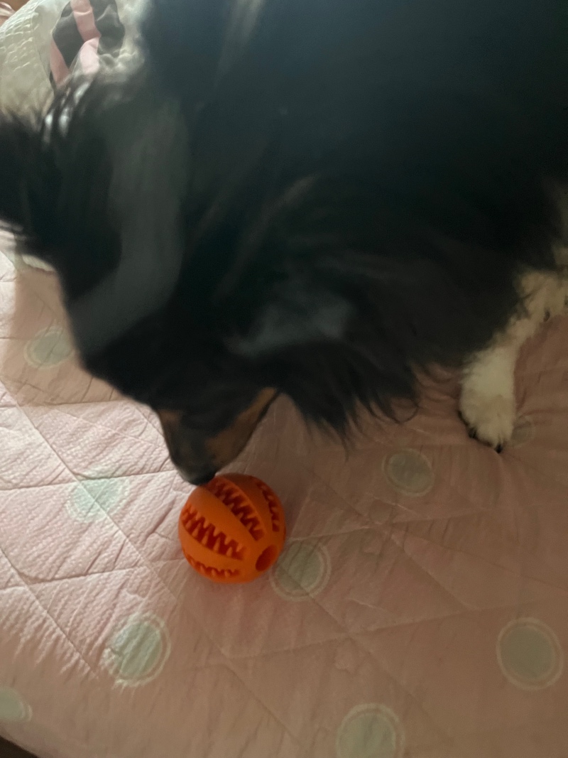 IMG_5674.jpeg