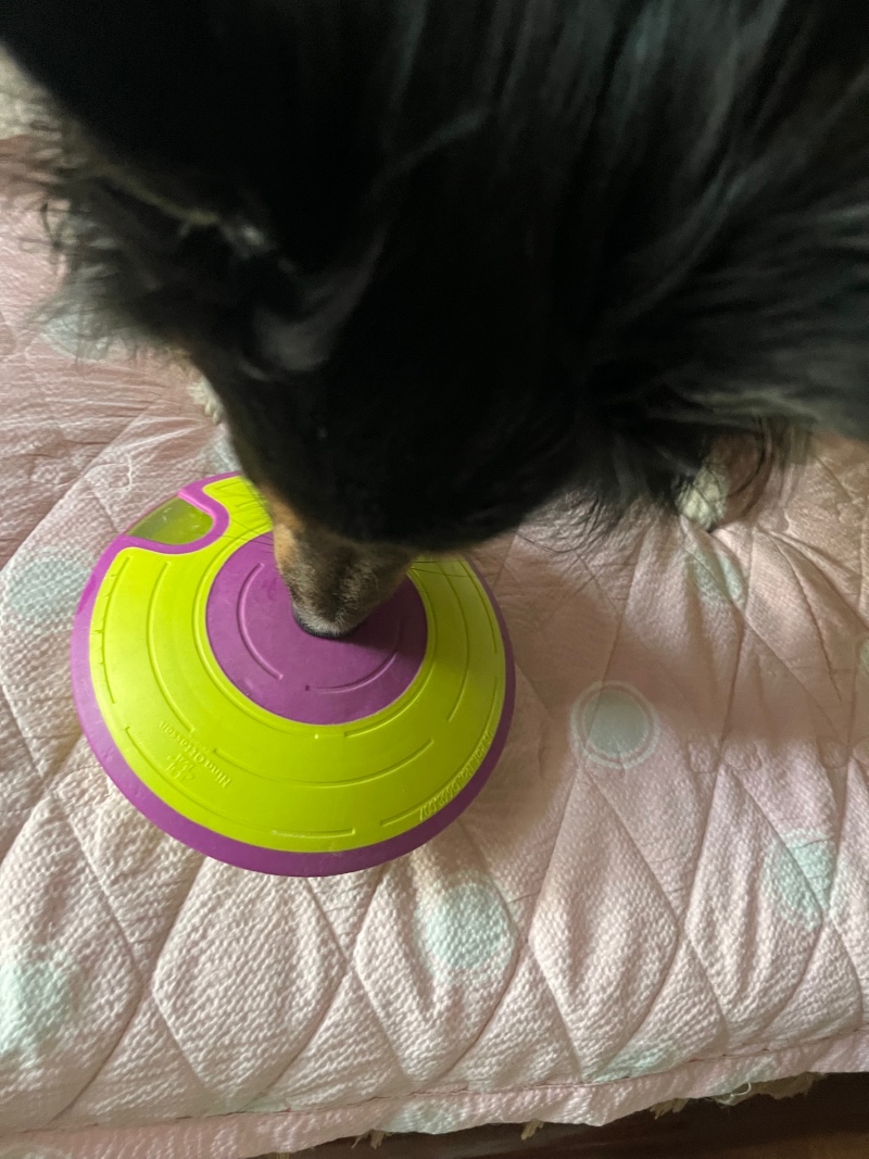 IMG_5670.jpeg