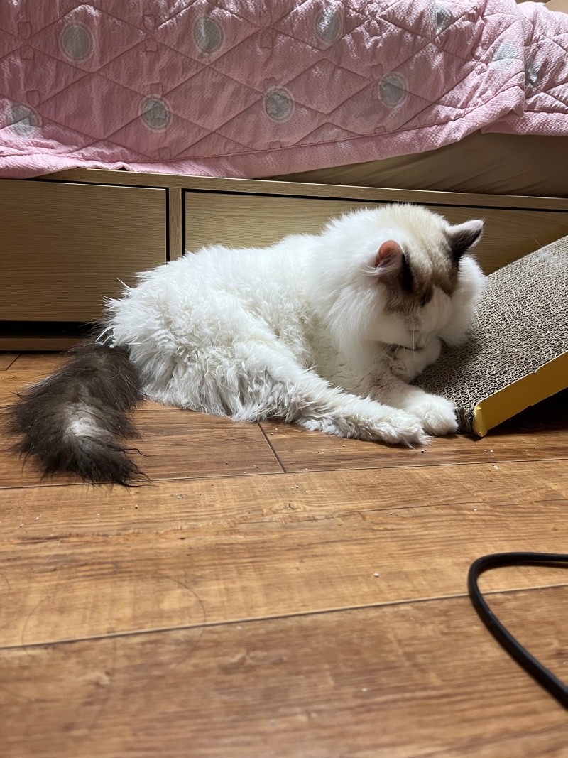 IMG_5675.jpeg
