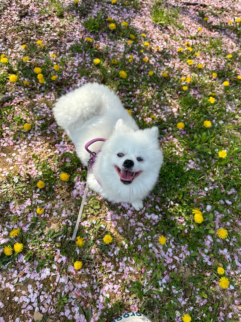 우유유