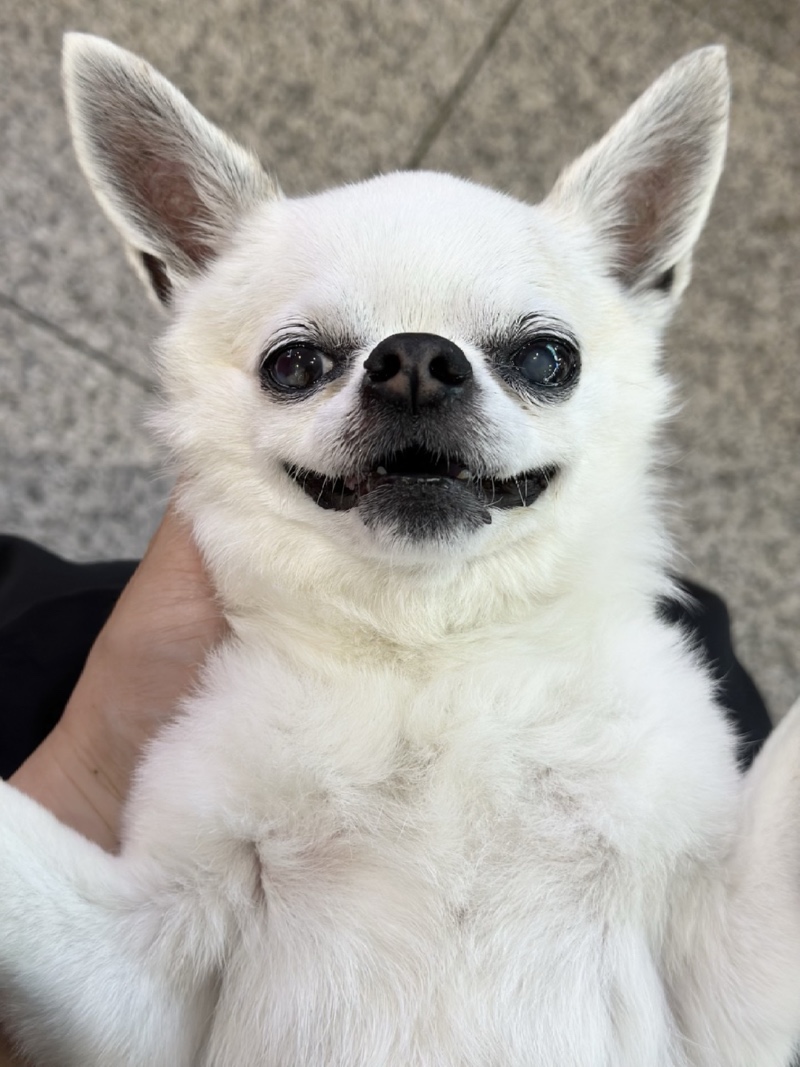 뚱이