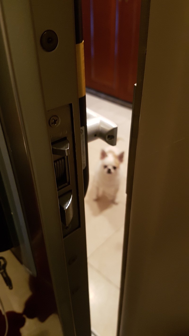 뚱이