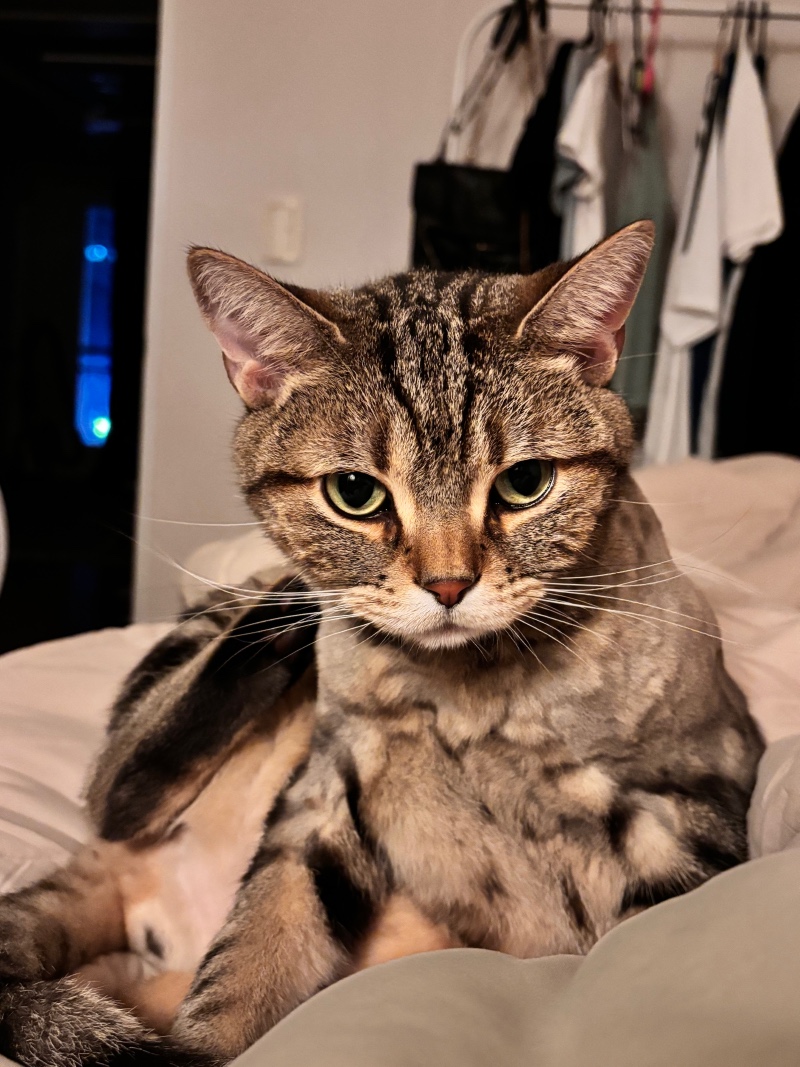 톨