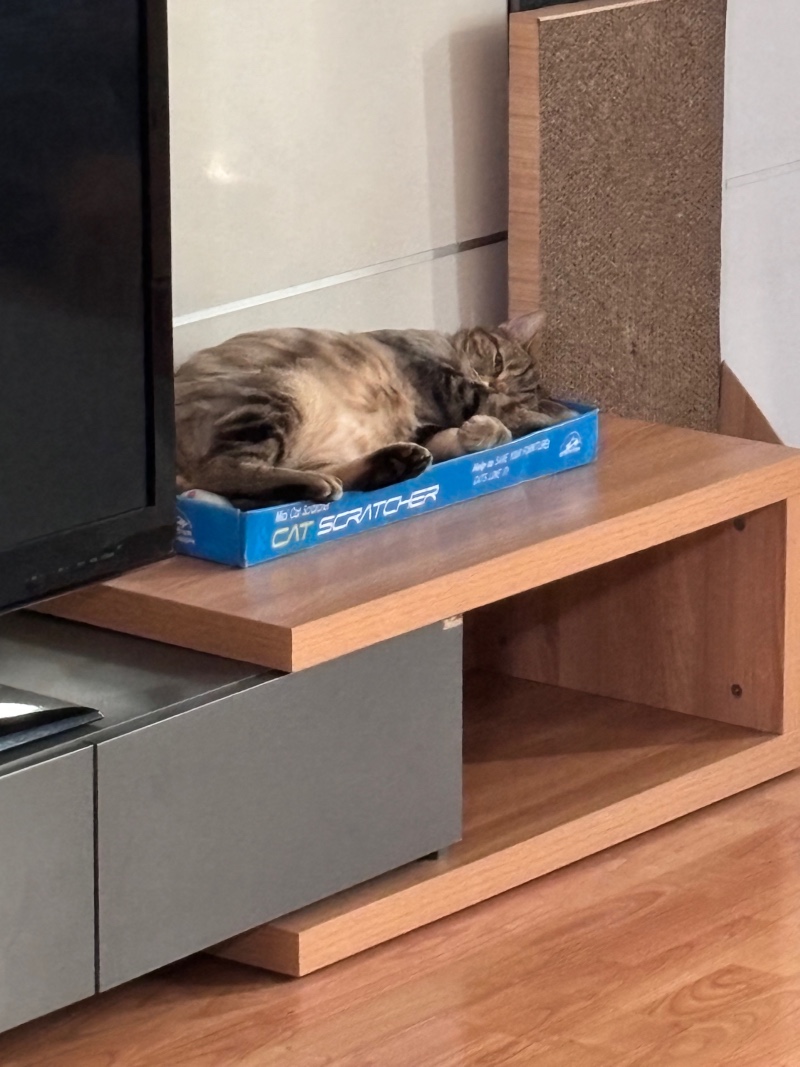 톨