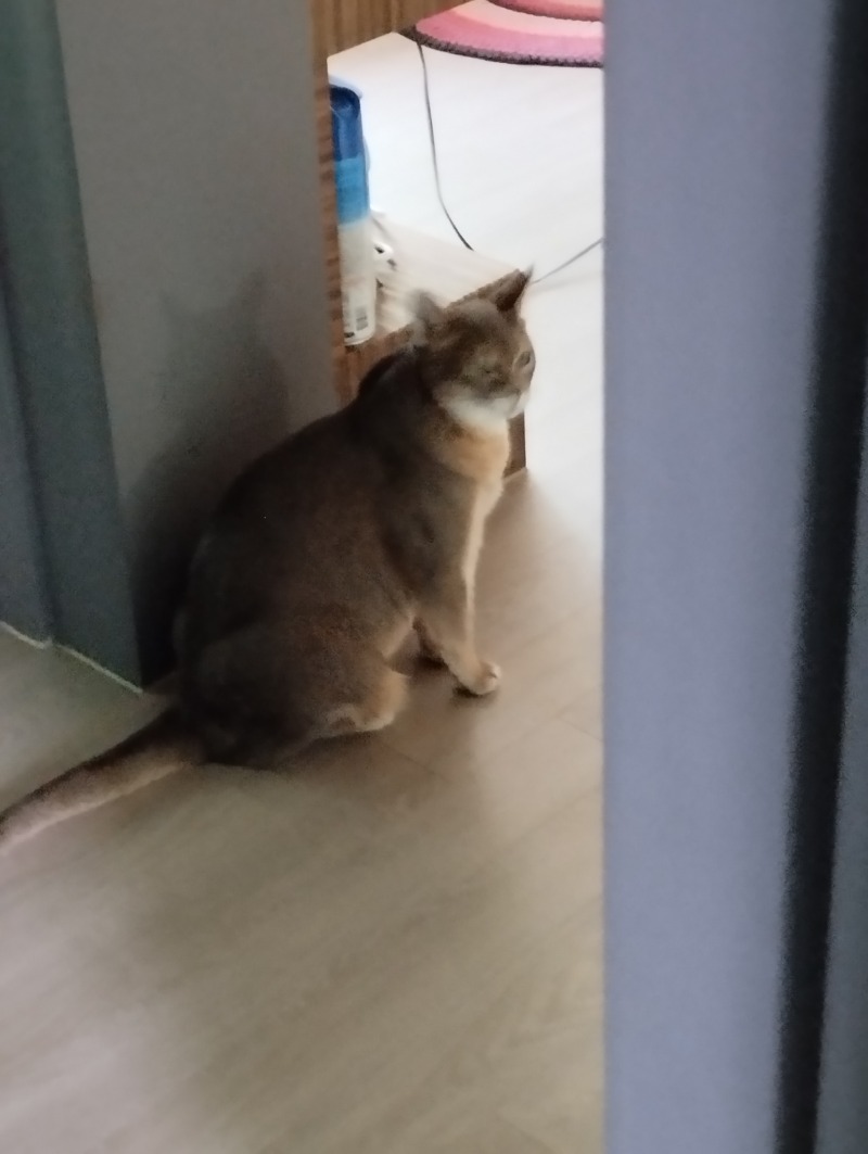 너무귀엽당