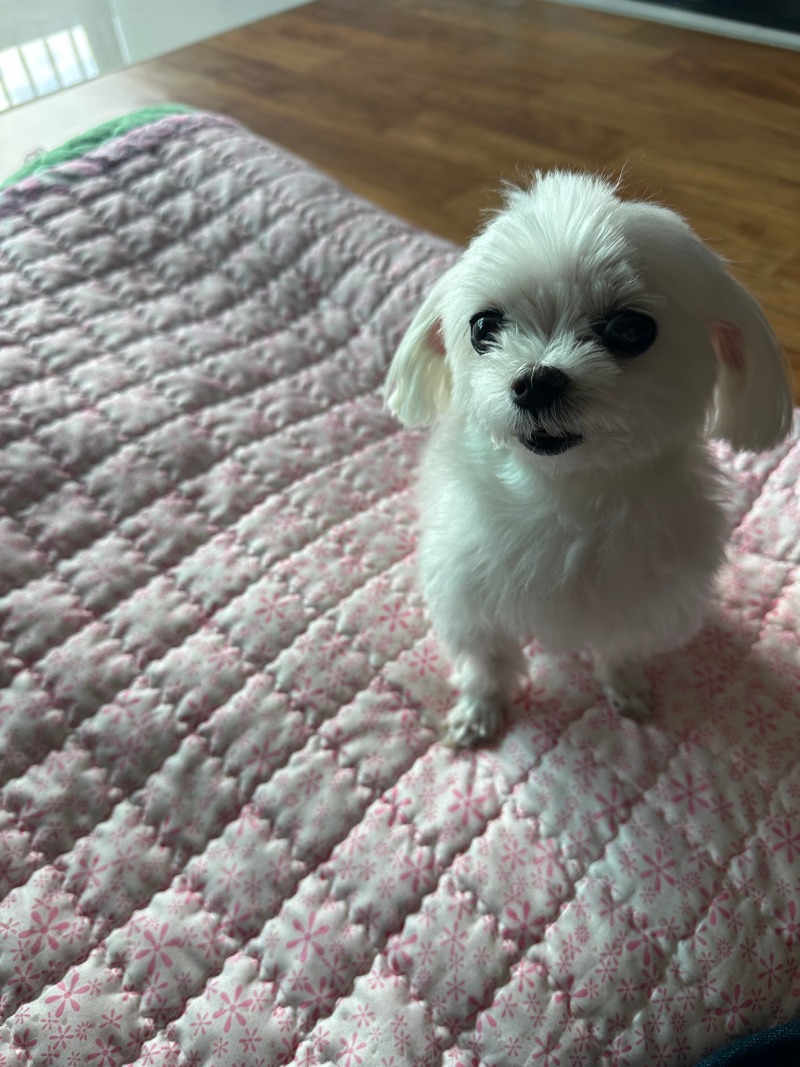 단비단비단비